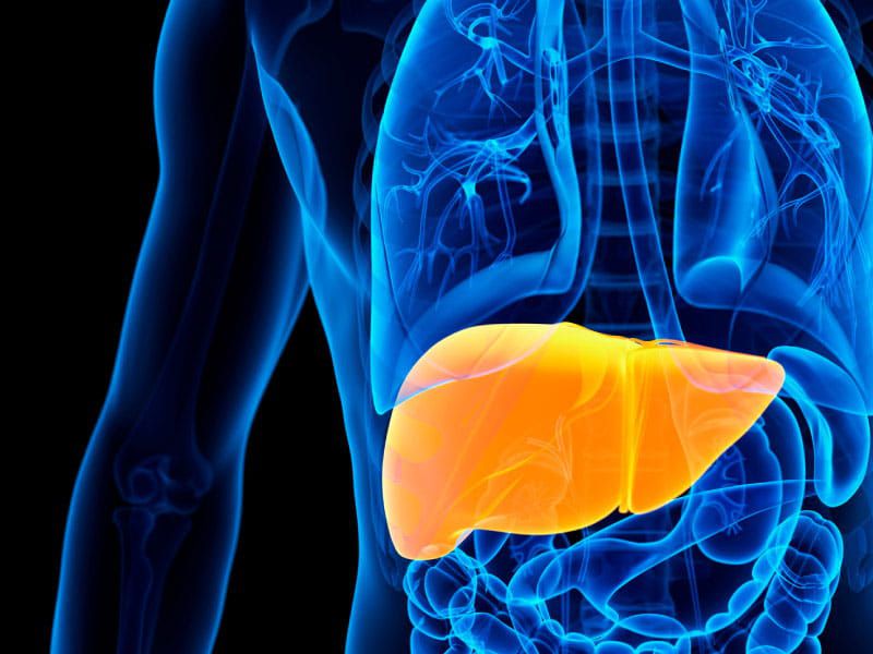 The Accumulation Of Fat In The Liver Can Spread Within The Body Of A Diabetic.