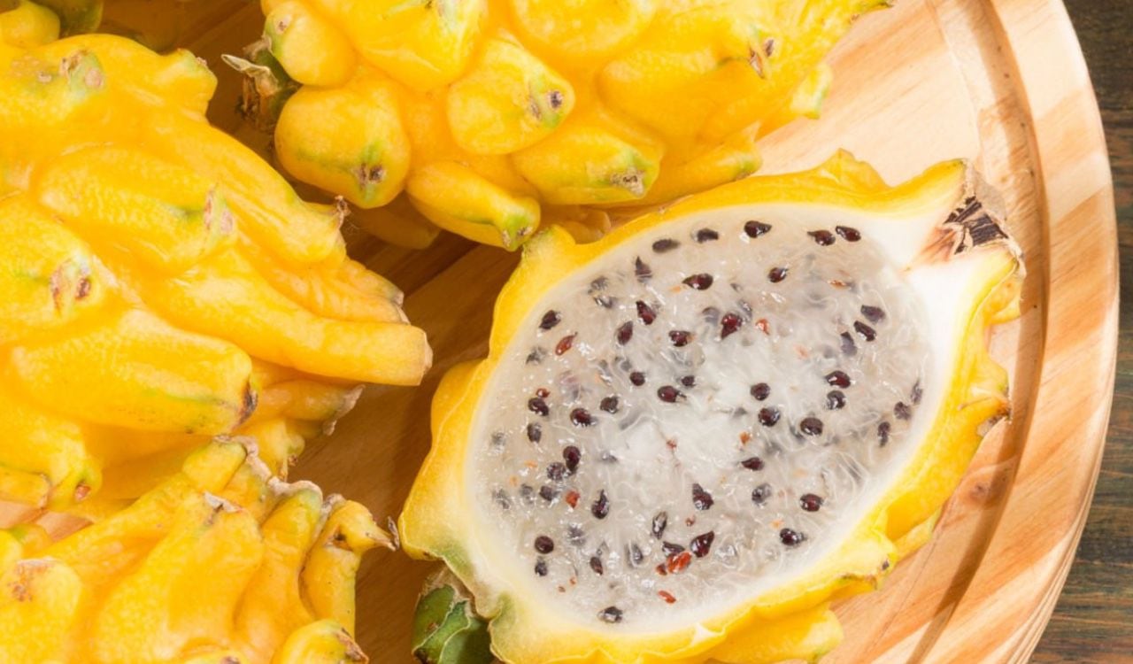 La pitaya es un alimento que aporta vitamina C al cuerpo y así tener buenas defensas para combatir cualquier resfriado