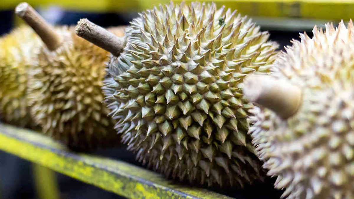 El durian es una de las frutas más comunes en los mercados de Indonesia.