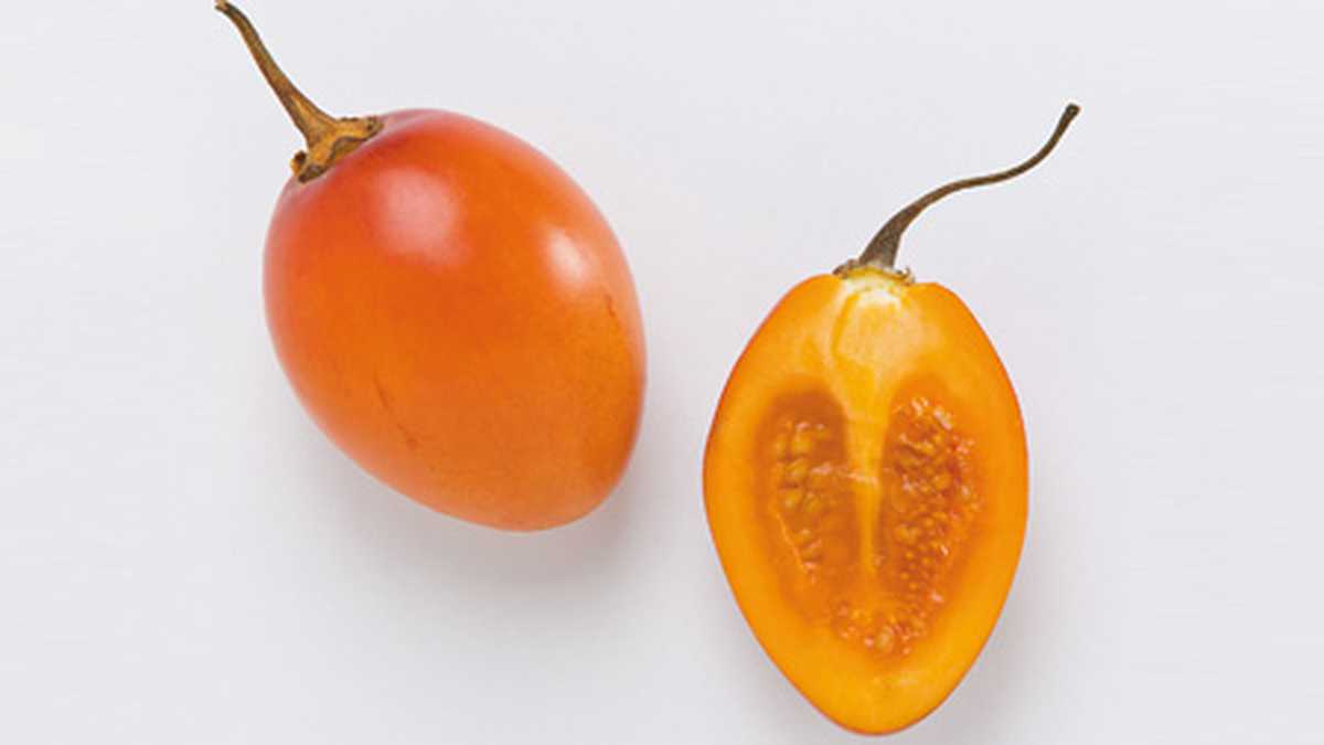 El tomate de árbol pertenece a la familia de las Solanáceas.