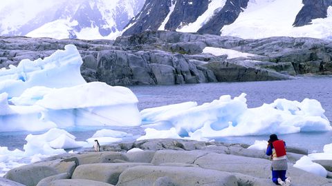 El turista admira a los pingüinos de Adelie en la isla de Petermann Antártida.