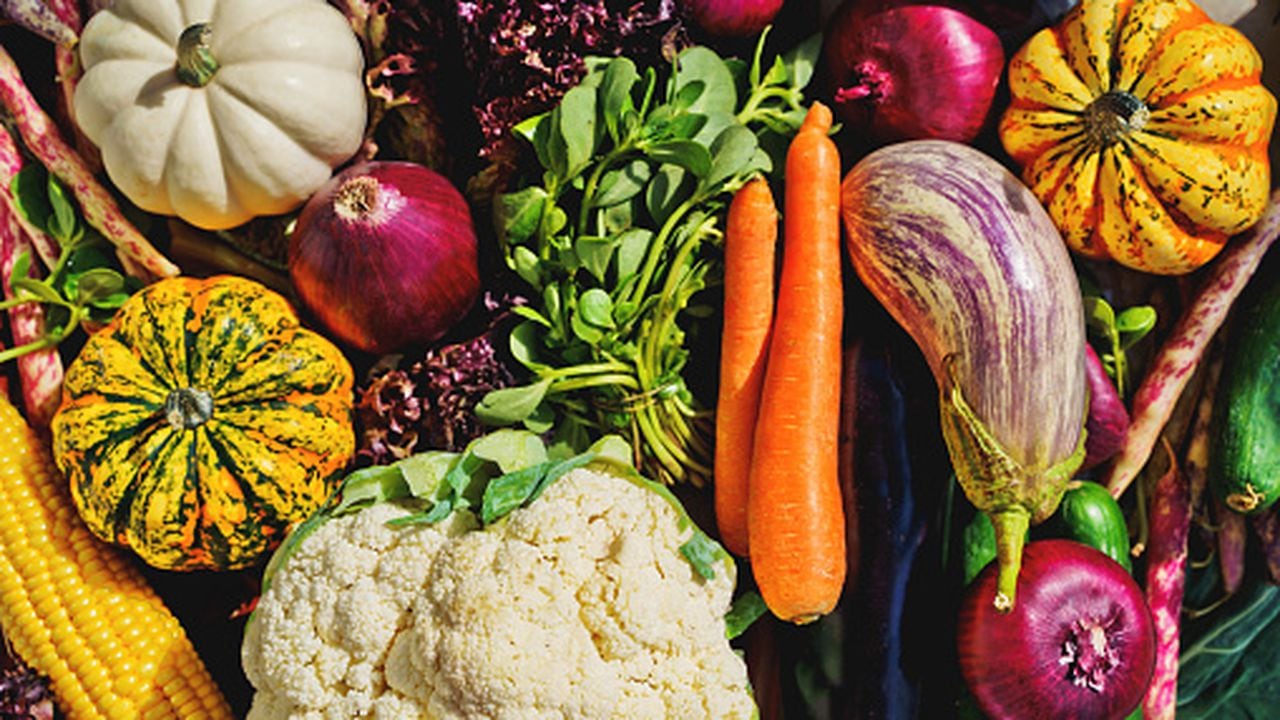Las verduras son aliemntos compuestos de minerales y fibras.