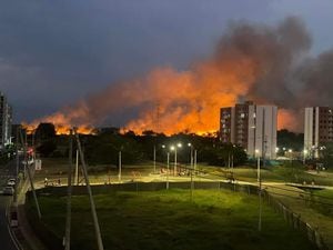 El incendio de esta semana en jurisdicción del corregimiento de Navarro acabó con tres hectáreas de siembra de caña de azúcar.