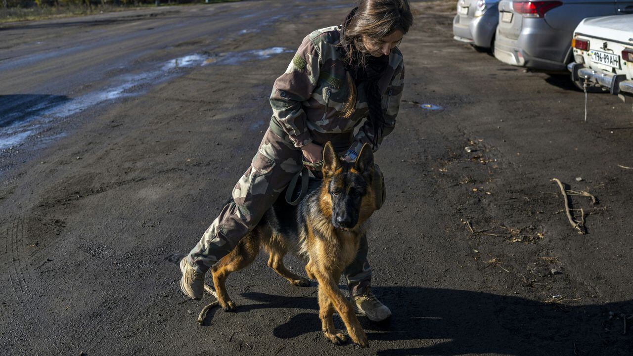 Un soldado ucraniano sostiene a su perro en la aldea de Arkhanhelske, en la región de Kherson, el 3 de noviembre de 2022, que anteriormente estaba ocupada por las fuerzas rusas. (Foto de BULENT KILIC / AFP)