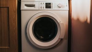 Este es el botón secreto de la lavadora que nunca se utiliza