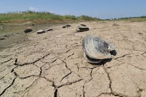 Esta foto tomada el 21 de agosto de 2022 muestra secciones secas de un lago en Nanjing, en la provincia oriental china de Jiangsu. (Foto de AFP) / China Out