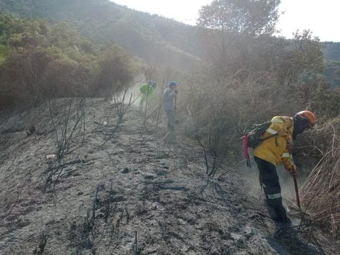 Emergencia en Yotoco, Valle: un incendio acabó con más de 100 hectáreas de reserva forestal.