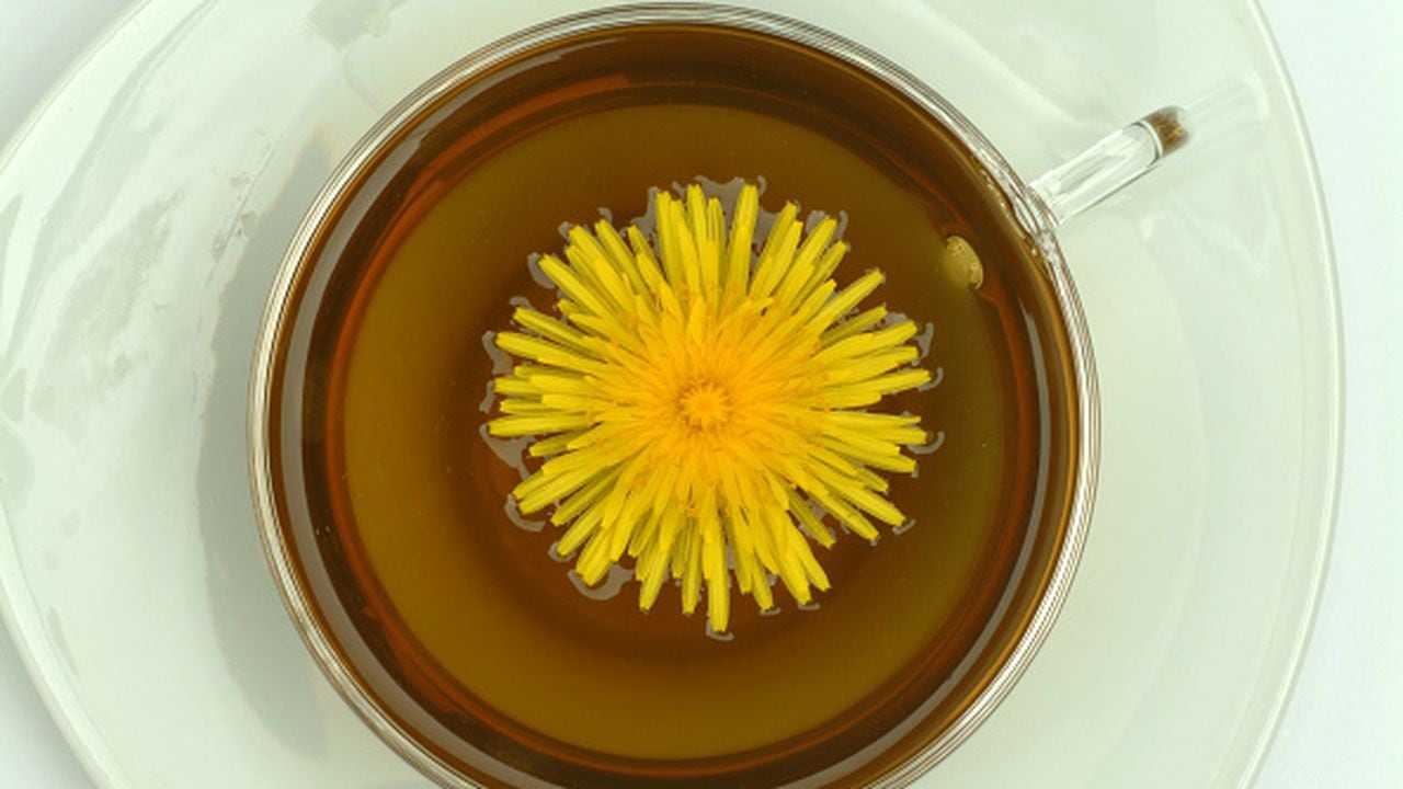 Medicinal tea made of common Dandelion, Taraxacum officinale. (Photo by: Bildagentur-online/Universal Images Group via Getty Images)