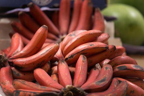 ¿Cuál es el plátano rojo y cuáles son sus propiedades para la salud?