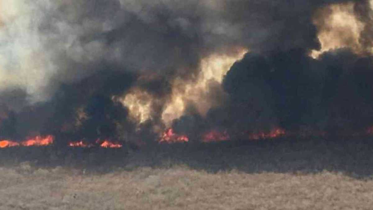 Las llamas en la selva no son muy altas, así que hay que combatirlas desde el suelo. Foto: GETTY IMAGES vía BBC. 