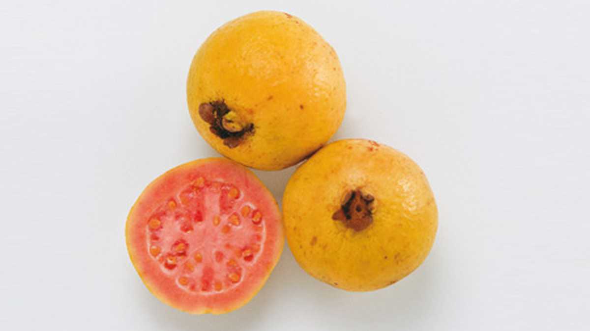 La guayaba es una de las frutas más populares por sus propiedades medicinales.