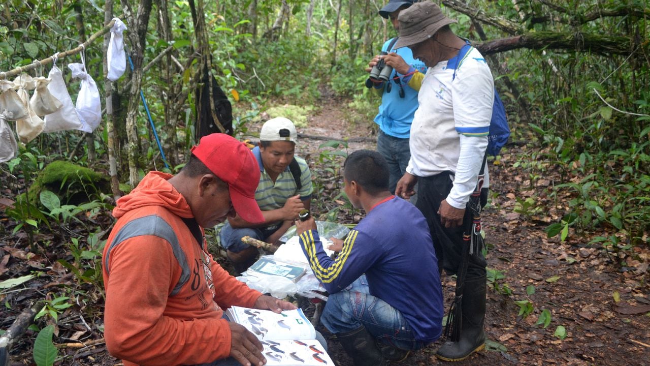 Inventarios de fauna con participación de las comunidades locales en el territorio de la comunidad de Yurí, Guainía. Proyecto BPIN - Instituto SINCHI.