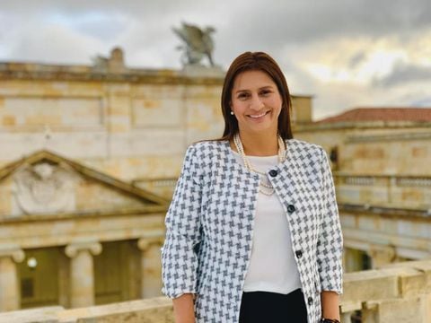 La senadora de Centro Democrático, Paola Holguín.