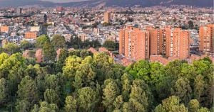 El trabajo realizado en torno a los temas de arborización y protección ambiental le permitió a la capital ser reconocida por la FAO. Foto: Jardín Botánico de Bogotá. 