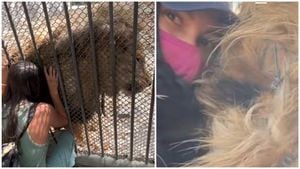 El león se llama Leo y fue rescatado con decenas de animales.