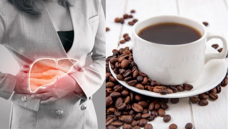 El café cumple una importante función para prevenir condiciones crónicas del hígado.