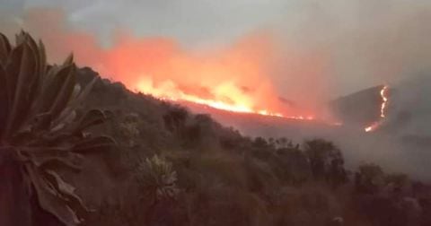 Incendio en el páramo de Cumbal en Nariño.