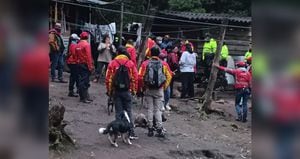 Funcionarios de la Alcaldía y el Esmad adelantan un operativo de desalojo en la vereda Los Cerezos, cerca a Monserrate en Bogotá.