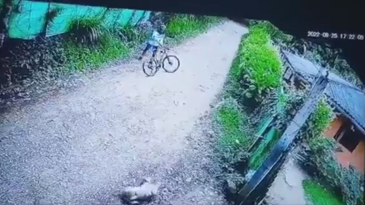 Un ciclista le lanzó una piedra a un perro y murió. El hecho ocurrió en el municipio de Dagua, Valle del Cauca.