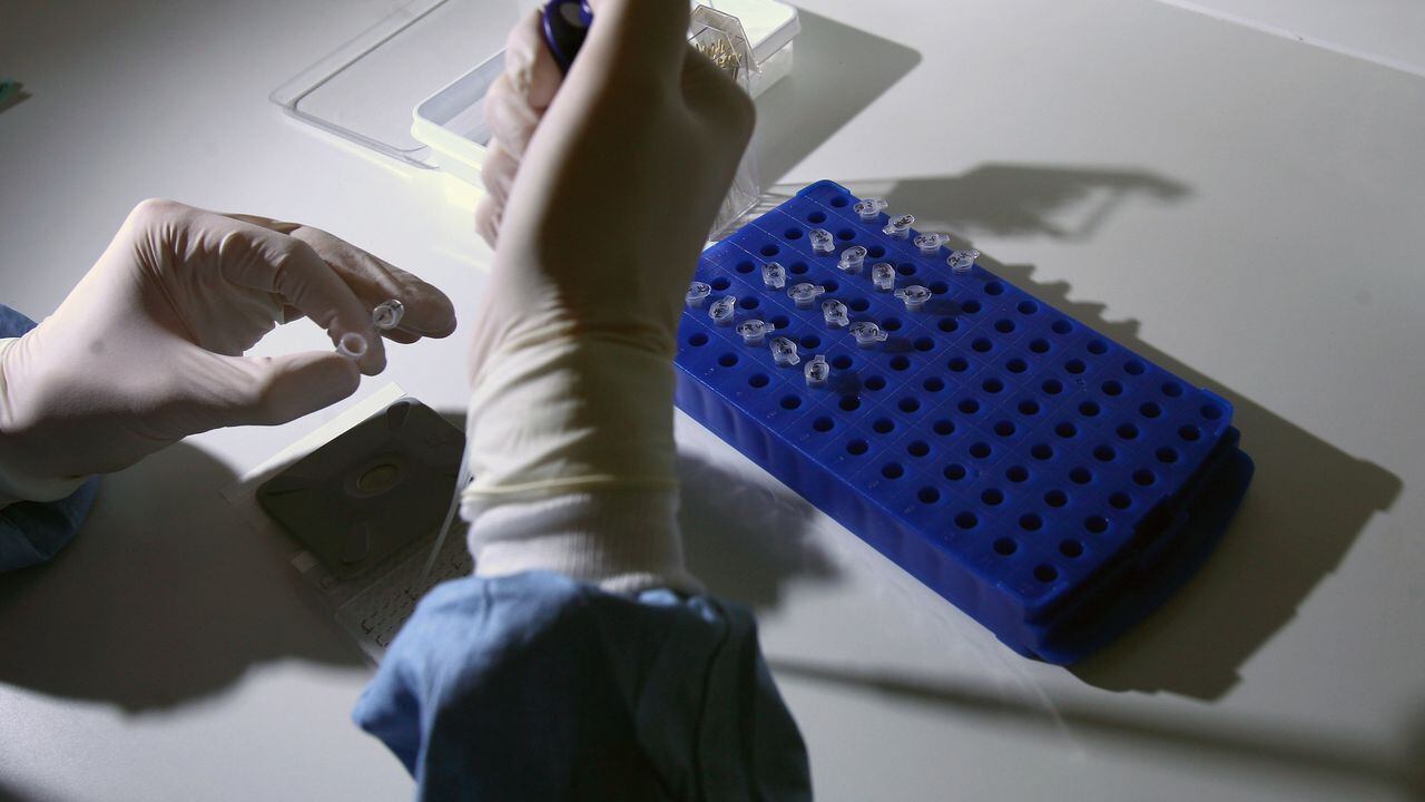 La empresa Vitrology Biotech  con sede en Escocia intentará desarrollar una vacuna contra la gripe H1N1 o "porcina".