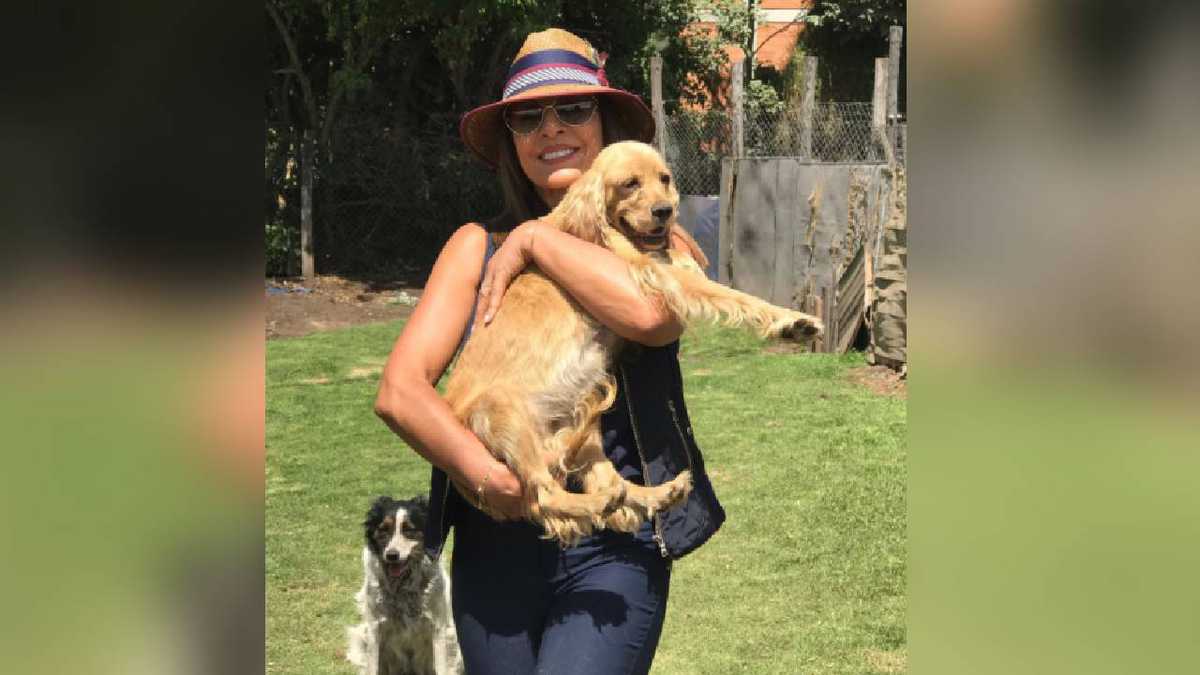 Amparo Grisales invitó a través de sus redes sociales a adoptar perros que ella misma recogió de la calle, y los llevó a un refugio para animales. Foto: Instagram @grisales333.