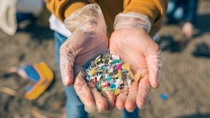 Según el Programa de las Naciones Unidas para el Medio Ambiente, la actual contaminación causada por el plástico está catalogada como una crisis mundial.