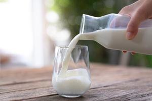 La leche es un alimento que le aporta diversos nutrientes al organismo.