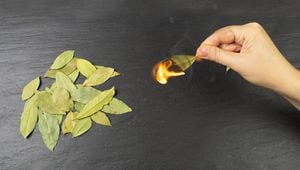 Quemar hojas de laurel trae algunos beneficios para el hogar.