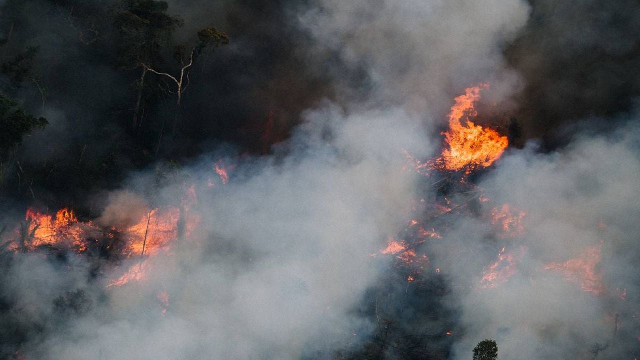 Alarmante cifra de incendios forestales en la primera parte de 2022 en salva amazónica de Brasil