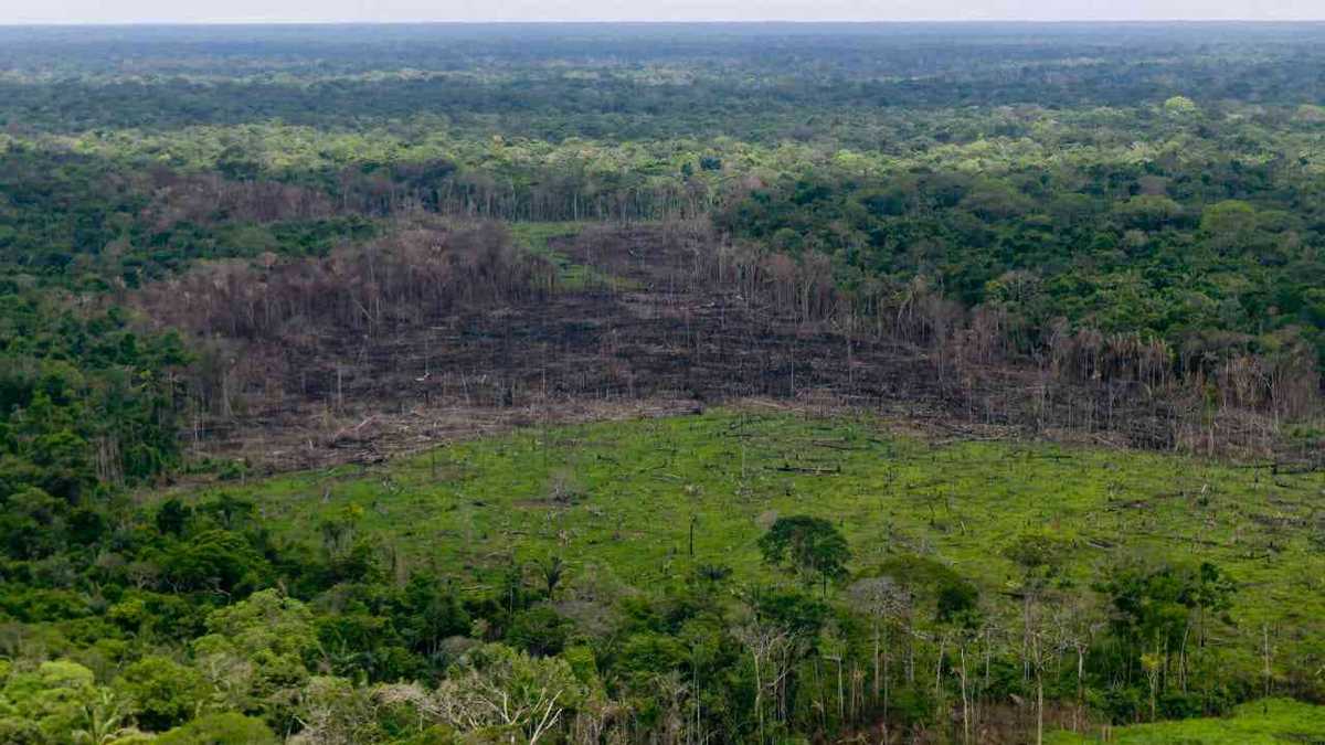 La deforestación en el Meta en el primer trimestre del año superó las 24.000 hectáreas, según el Ideam. Foto: PNN - Colombia hoy. 