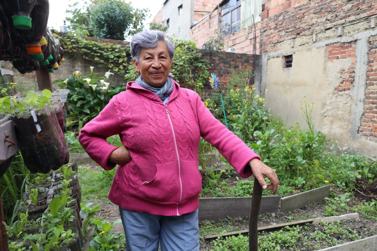 María Dolores Salazar, campesina de 67 años y beneficiaria del programa del Sena, ha logrado sacar adelante su huerta,  preservar el espíritu campesino y el legado del negocio familiar.