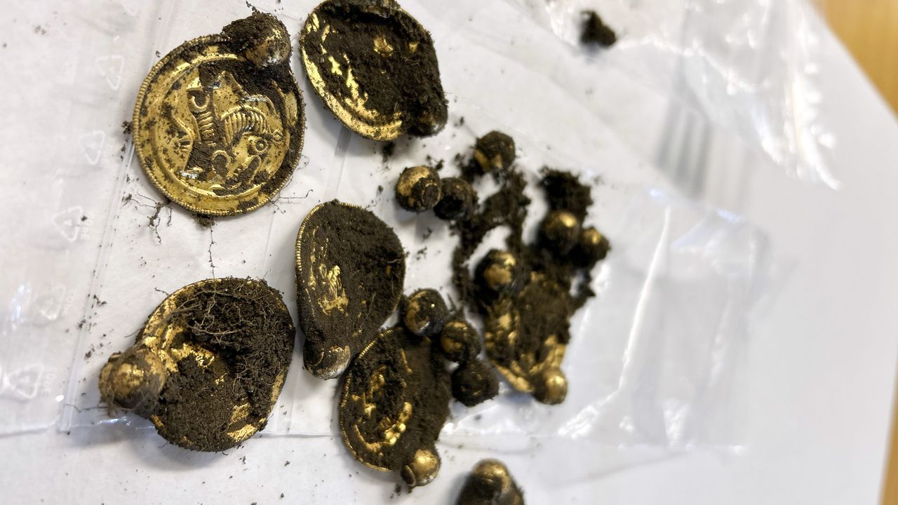 Un experto en ese tipo de pendientes, el profesor Sigmund Oehrl, del mismo museo, dijo que hasta el momento se han encontrado unos 1.000 bracteatos de oro en Noruega, Suecia y Dinamarca.