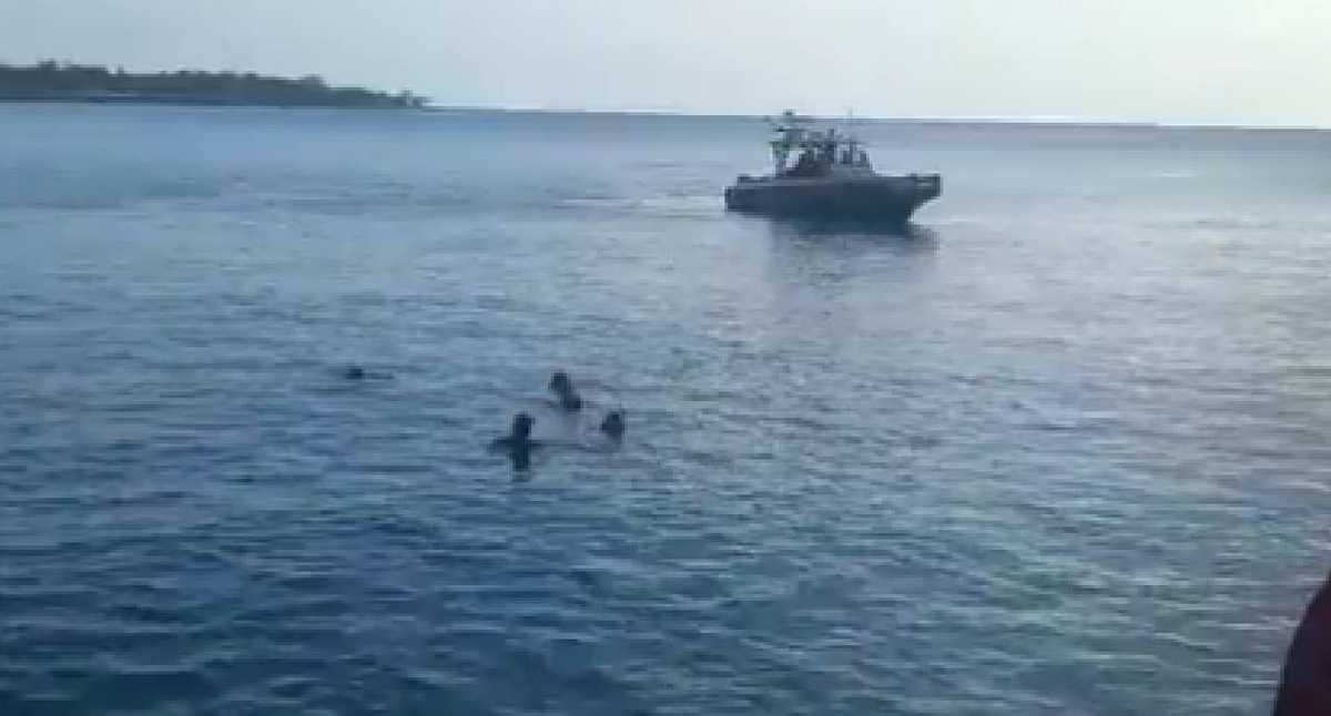 Attivista animalista denuncia la caccia allo squalo che ha aggredito turisti italiani a San Andrés