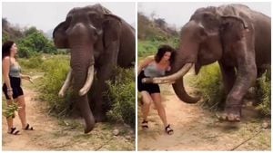 Elefante furioso