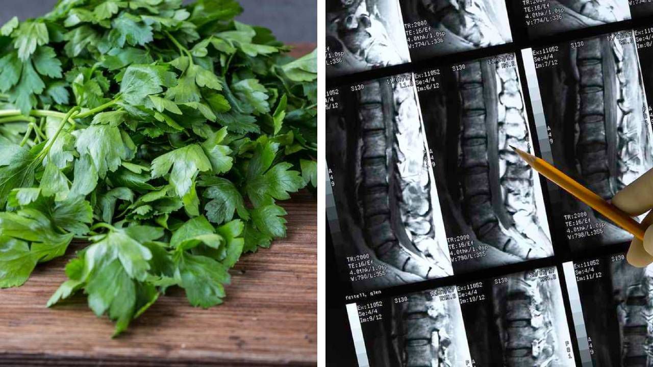Parsley Is Rich In Vitamins C, A And K.  Photo: Getty Images, Week Montage.