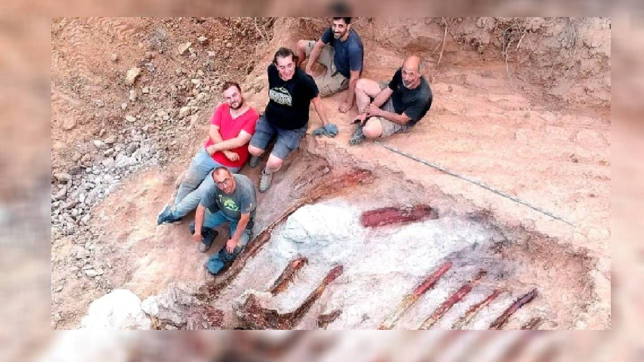 Trabajos de excavación de los restos de un dinosaurio saurópodo en Pombal, Portugal. -Foto: Reuters. / Autor: Instituto Dom Luiz.