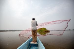 Los habitantes de la cuenca del río Magdalena, que alberga más de 1,2 millones de hectáreas de planicies inundables, viven de la pesca.