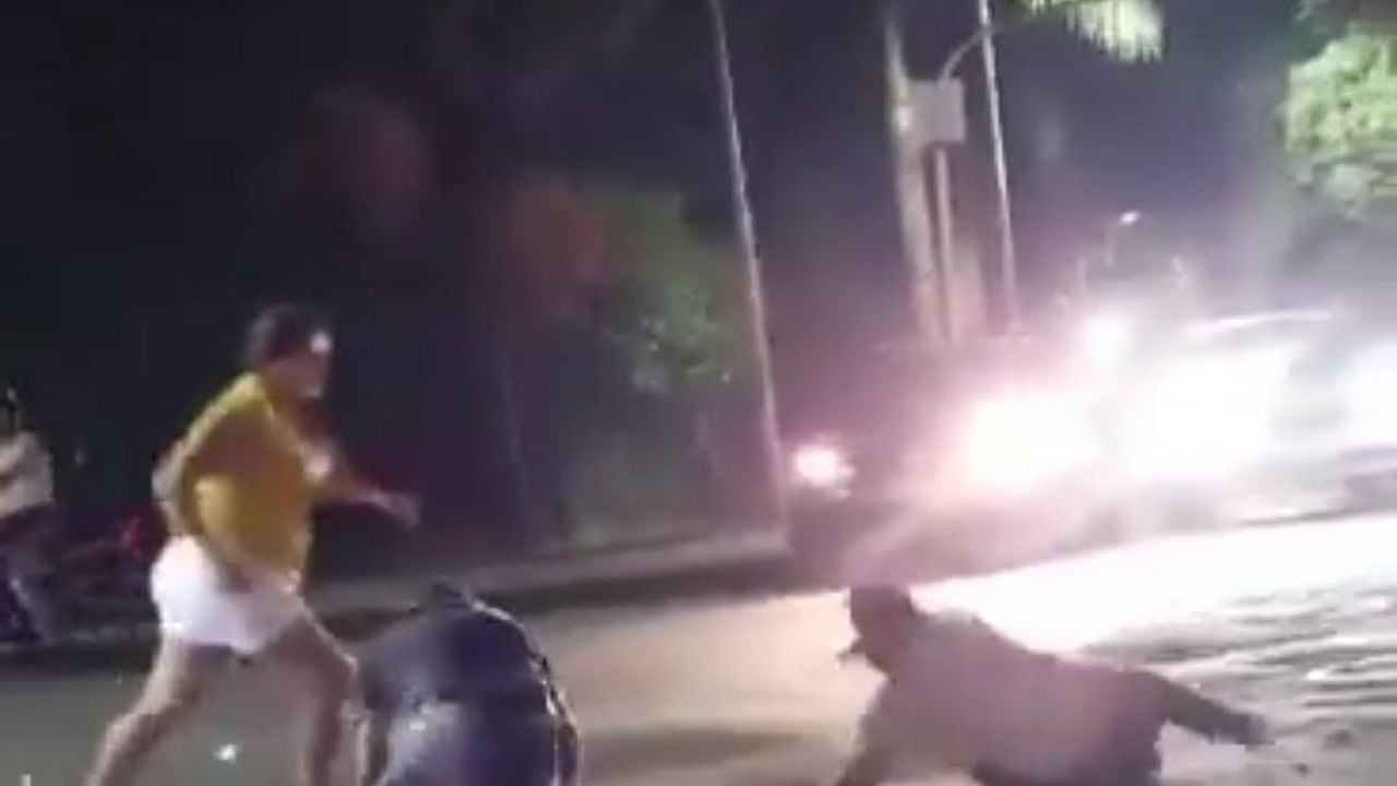 Patada de una mujer a un hombre en Florencia, Caquetá para defender a su esposo. Captura de video. API