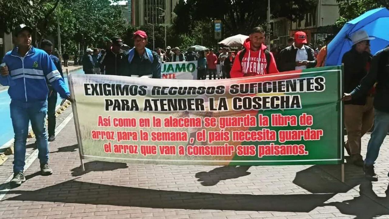 Manifestación arrocera en Bogotá.
