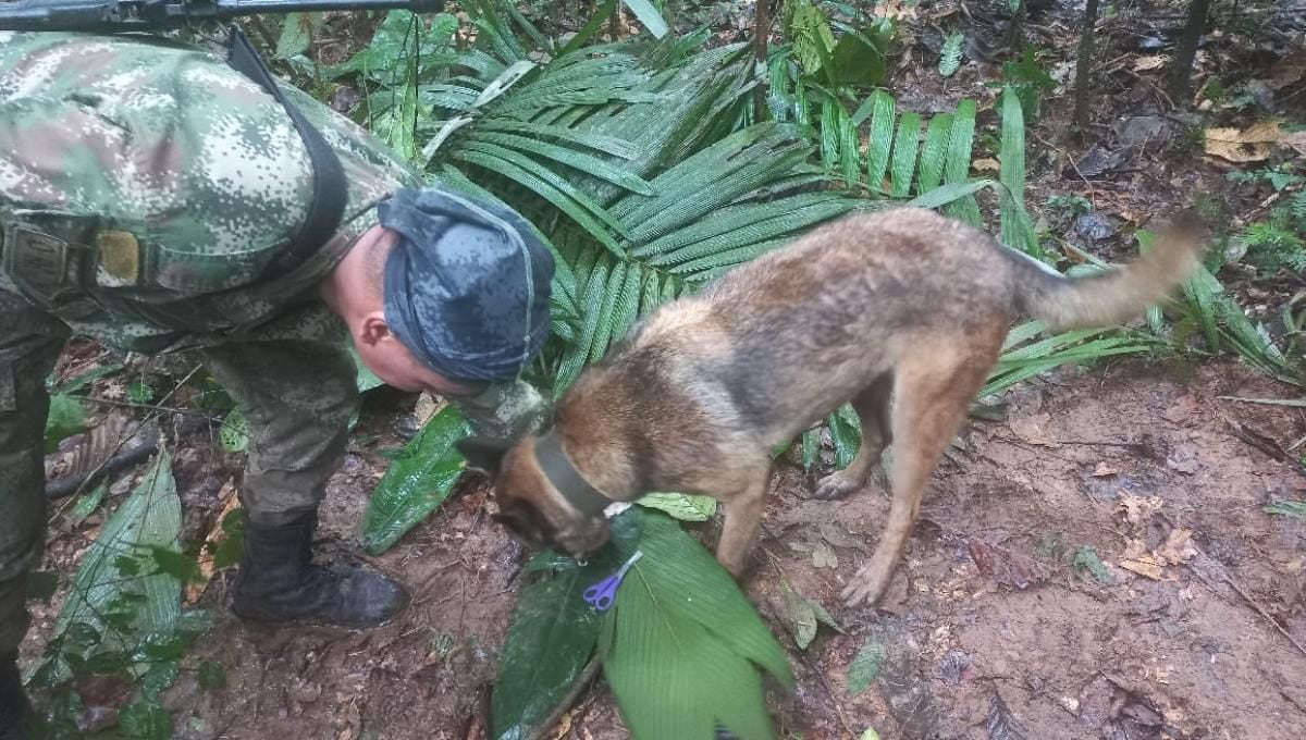 Militares e indígenas continúan la búsqueda en la selva.