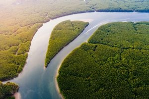 Antena de río con isla en forma de corazón, la bahía de Phang Nga, Tailandia