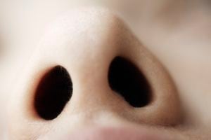 La nariz filtra el aire que entra al organismo, además permite percibir olores característicos de las personas y el entorno.