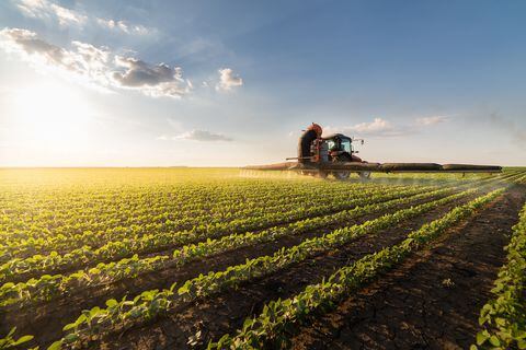 El país tiene el potencial agroexportador para fortalecer la salida de productos agrícolas  a diferentes países del mundo.