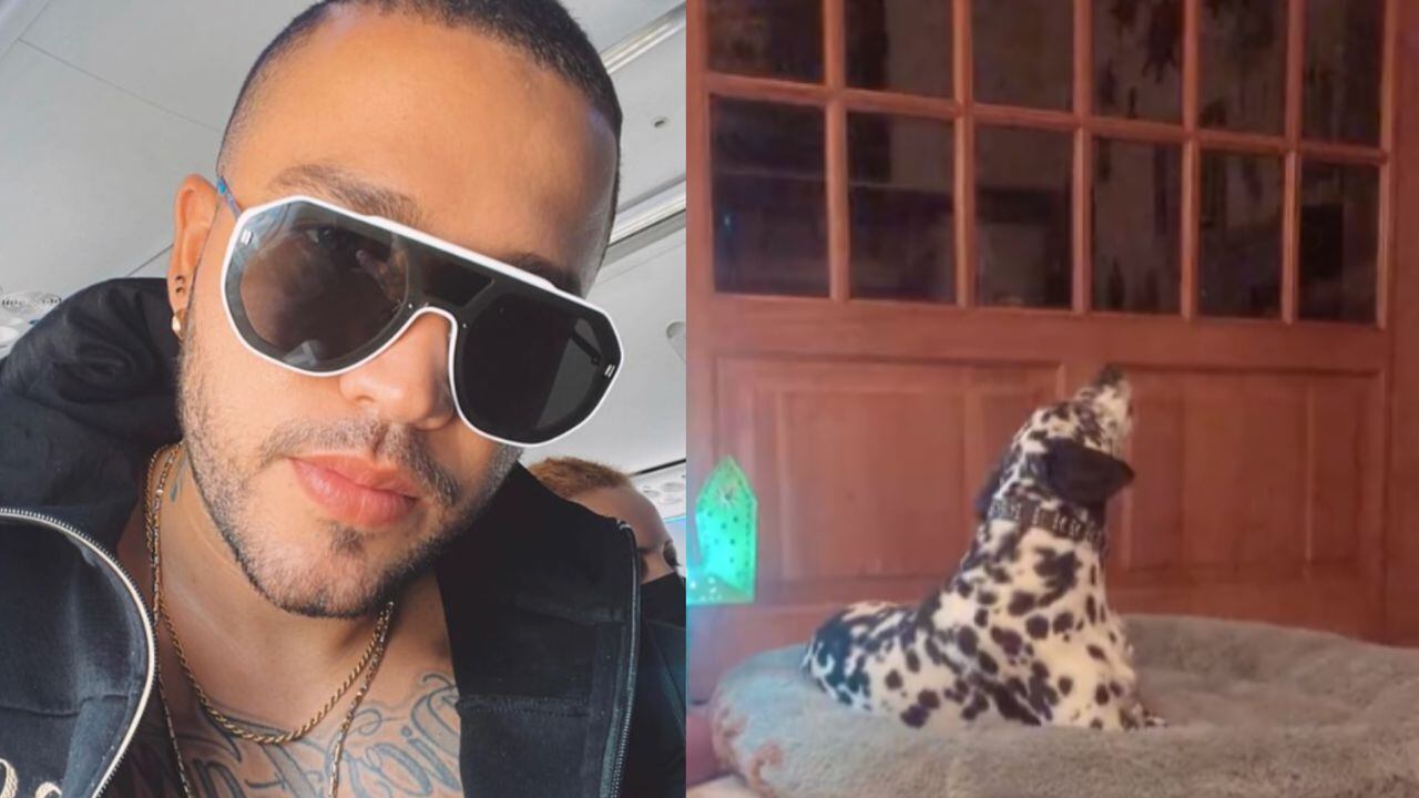 Al son de ‘Dulce Pecado’, Jessi Uribe se reunió y cantó con el perro ciego que se hizo viral