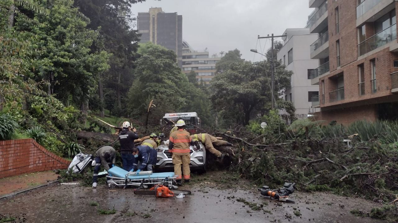 El árbol cayó en la carrera 7 A con calle 90, de la localidad de Chapinero, afectando una camioneta que pasaba por el lugar.