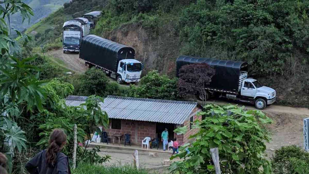 Buses y camiones llegaron hasta la vereda de Santa Lucía, en Ituango, para trasladar a los excombatientes y sus familias a Mutatá.