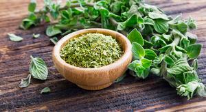 Fresh and dried oregano herb on wooden background