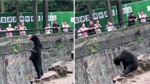 Un zoológico del este de China ha desmentido las insinuaciones de que sus osos son en realidad personas disfrazadas