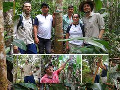 La FCDS y el Instituto Humboldt iniciaron la instalación de 38 dispositivos acústicos en 15 predios de familias campesinas del Guaviare que lideran proyectos de forestería comunitaria. | Foto: Jhon Barros (FCDS)