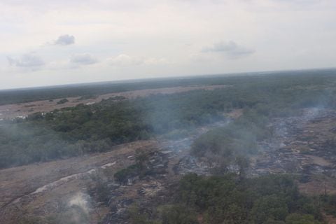 Panorama en Parque Isla Salamanca por incendio.
